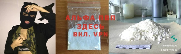 ГАЛЛЮЦИНОГЕННЫЕ ГРИБЫ Надым