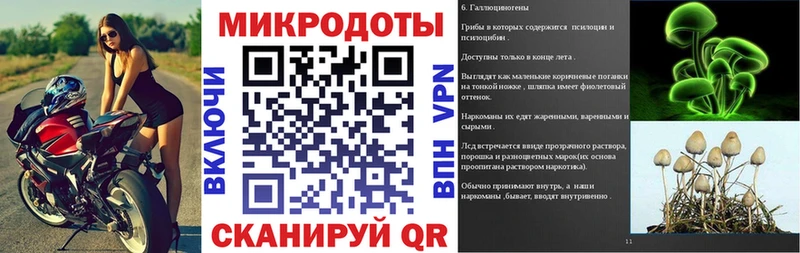 как найти   Оса  Галлюциногенные грибы GOLDEN TEACHER 